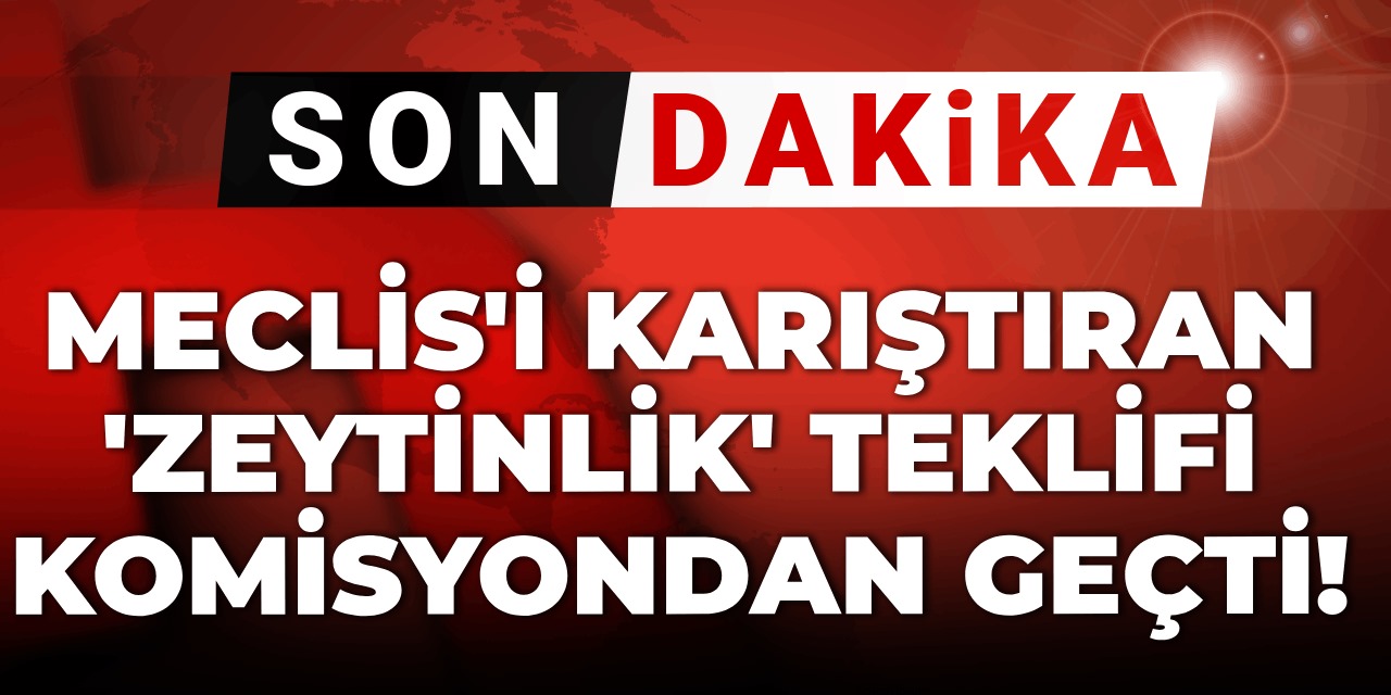 Son Dakika | Meclis'i karıştıran 'zeytinlik' teklifi komisyondan geçti!