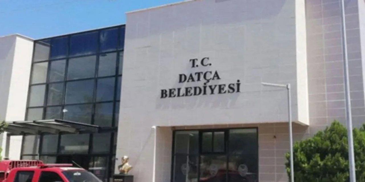 Datça Belediyesi: Eşekler misafirimizdir