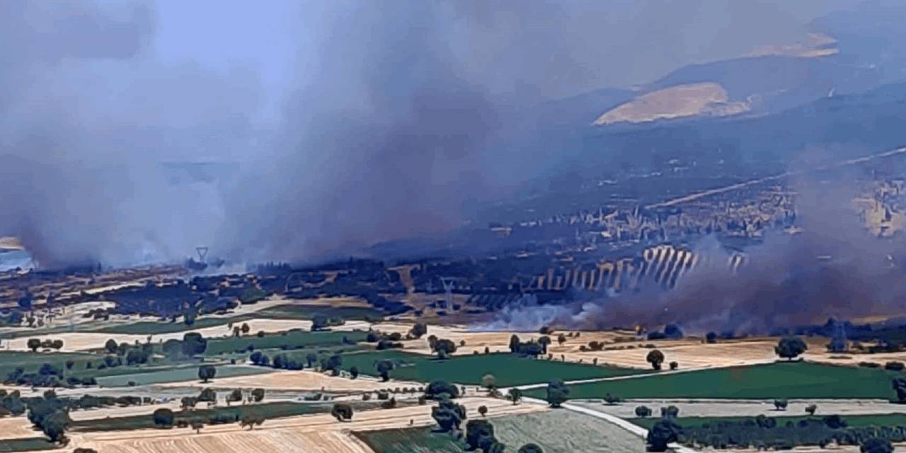 İzmir'de orman yangını! 5 uçak müdahale ediyor