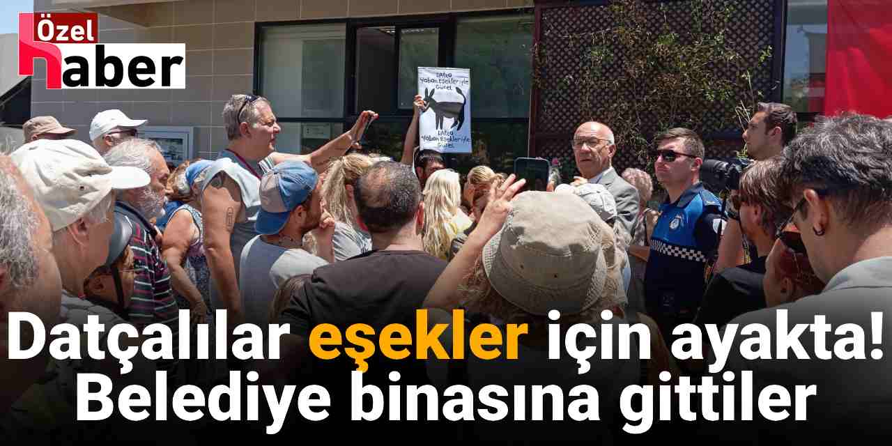 Datçalılar eşekler için ayakta! Belediye binasına gittiler
