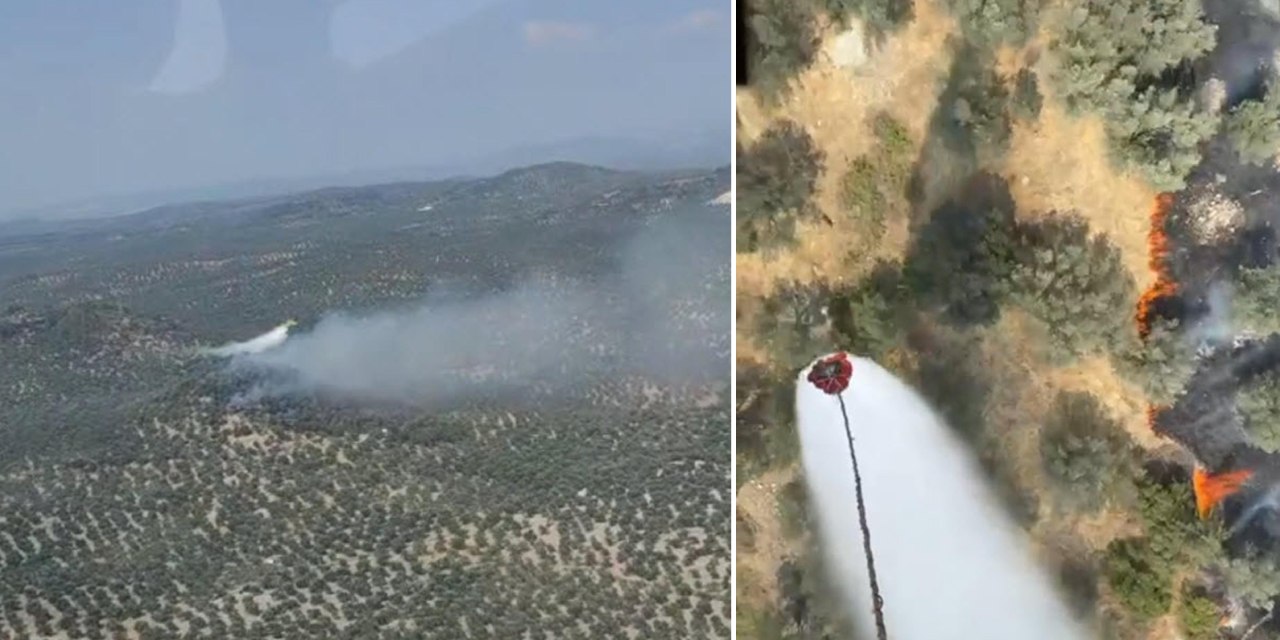 Zeytinlikler yanıyor! Havadan ve karadan müdahale