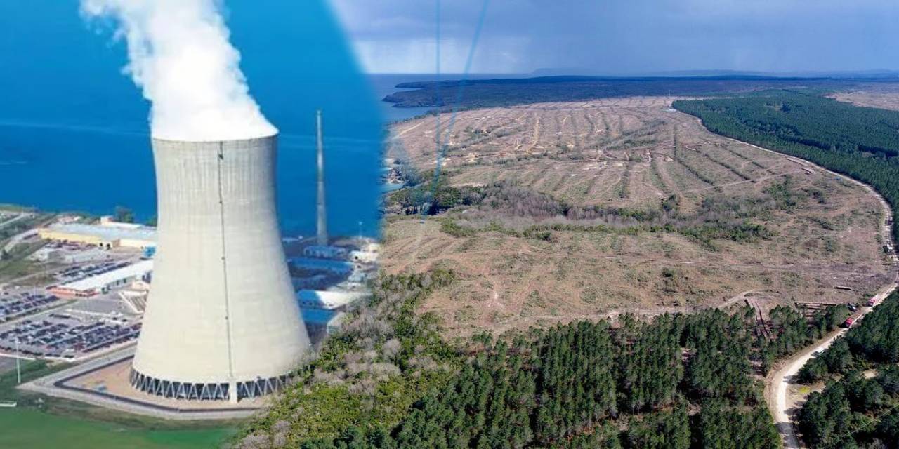 Avukatlardan Sinop Nükleer Santralı’na karşı hamle: Hazırlanan ÇED geçersiz