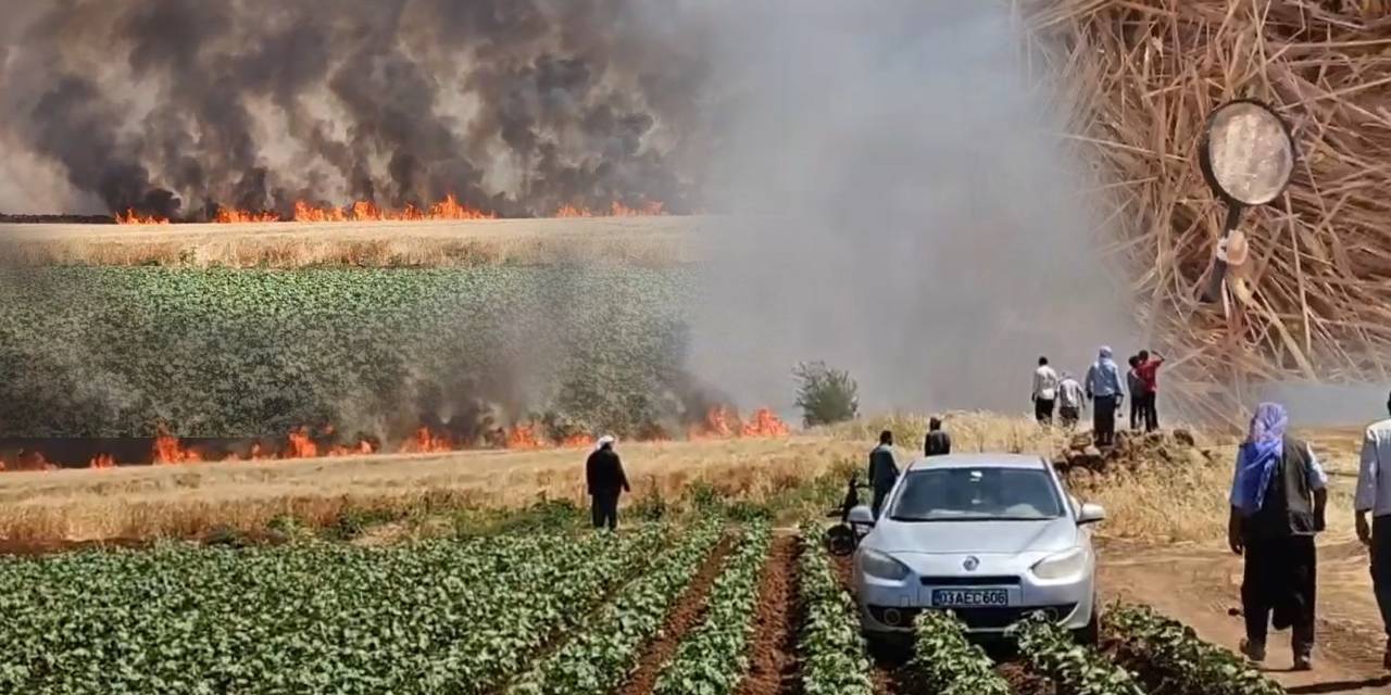 Şanlıurfa'da tarla yangını: 1'i ağır 5 yaralı