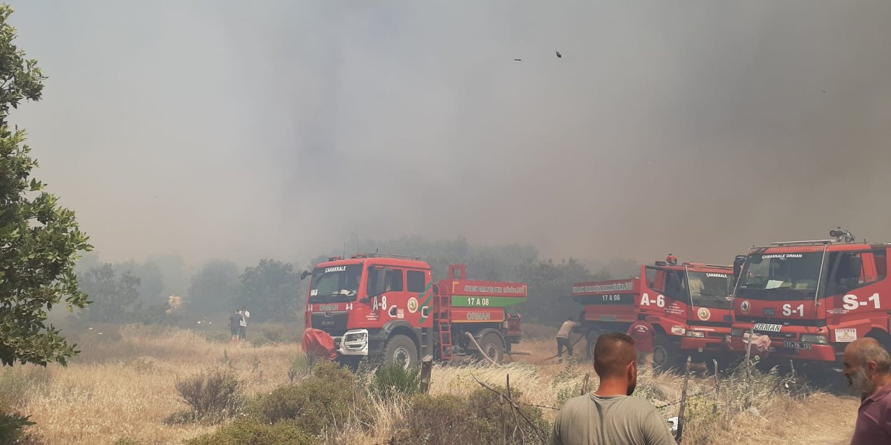 Çanakkale'de yangın çıktı
