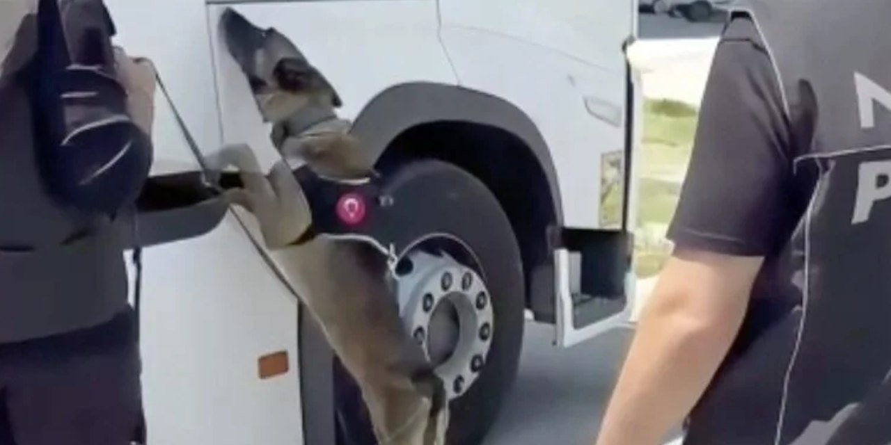 Tırın gizli bölmesinden eroin çıktı! Ortak operasyonda yakalandılar