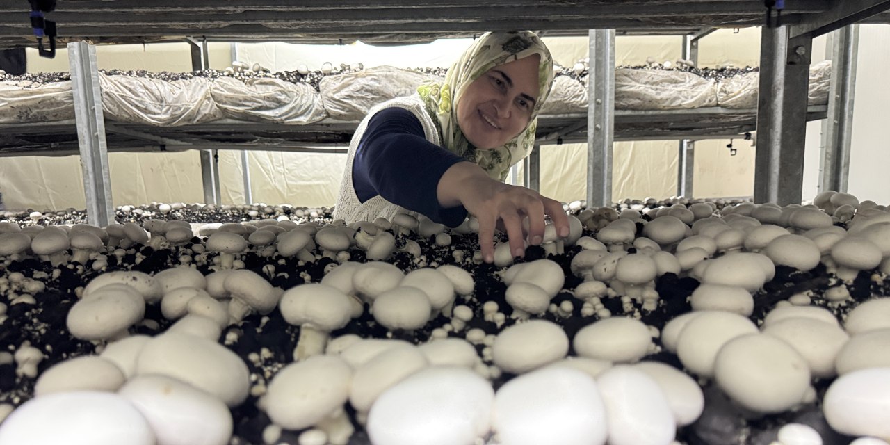 Ev hanımıydı, şimdi 12 milyonluk tesiste 30 kişiye iş veriyor!