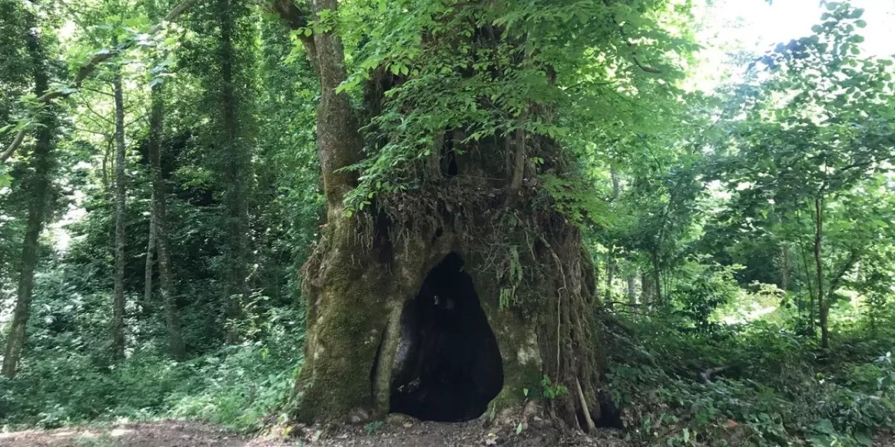 500 yıldır orada duruyor