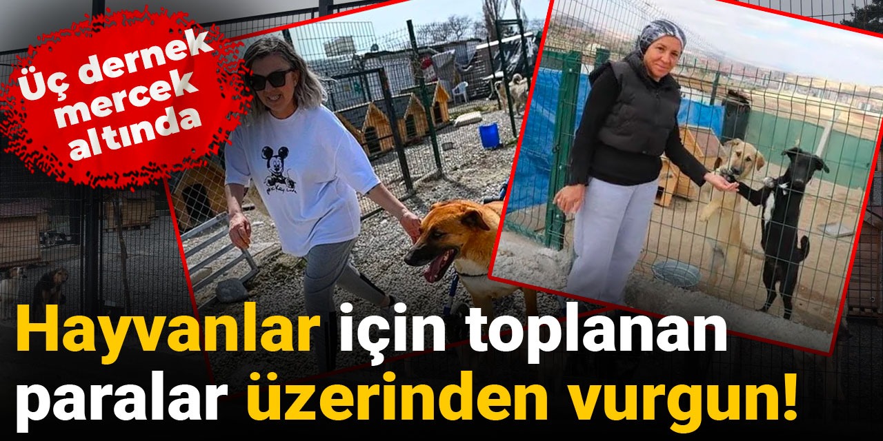 'Mama bağışı' adı altında milyonlarca lirayı hesaplarına geçirmişler