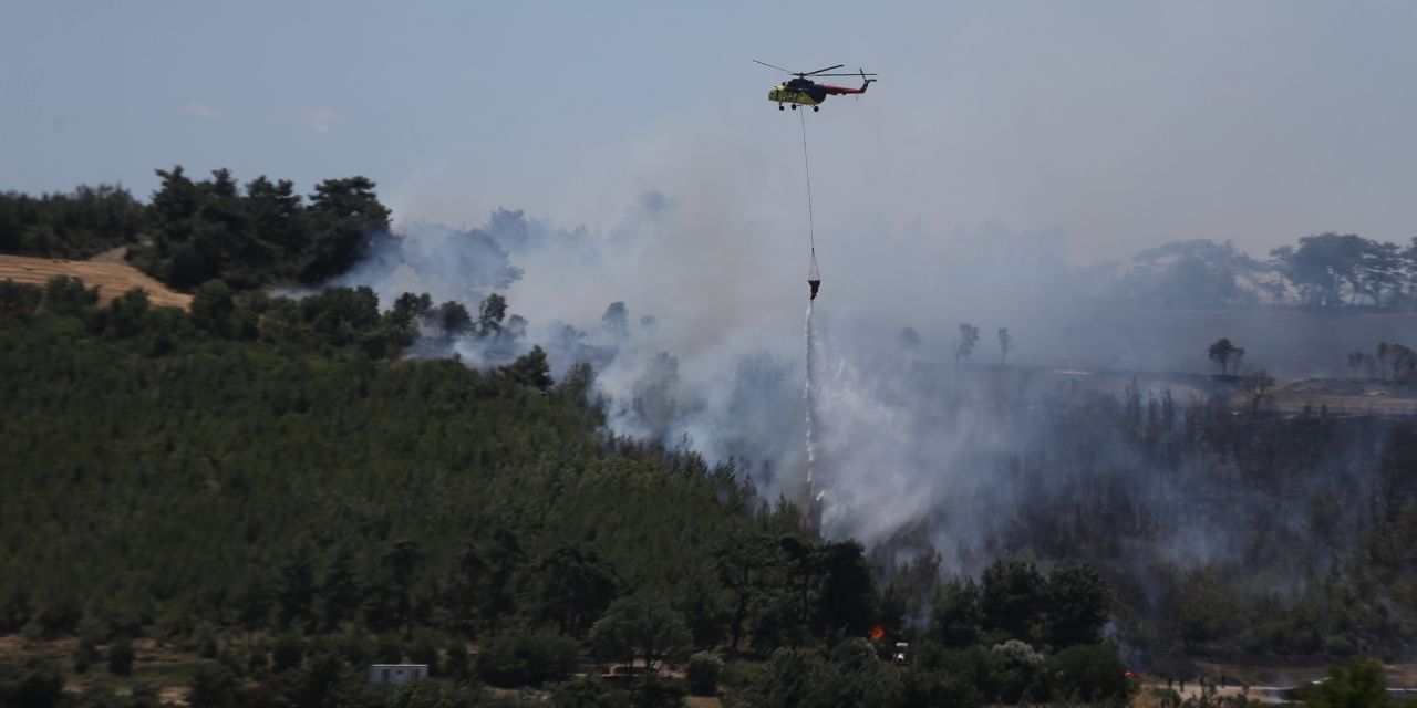 Çanakkale’de tarım arazisinde çıkan yangın ormana sıçradı