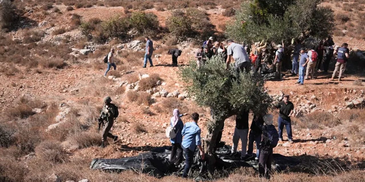 İsrail Batı Şeria'daki çiftçilere bir ayda 415 kez saldırdı