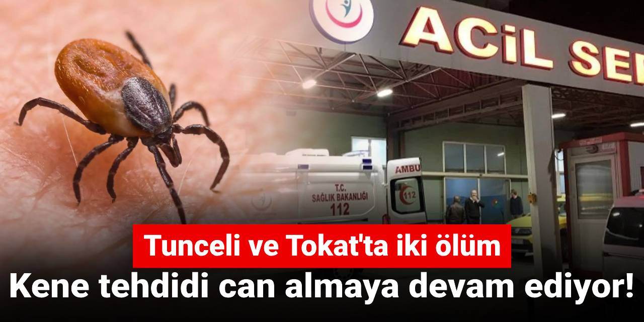Kene tehdidi can almaya devam ediyor! Tunceli ve Tokat'ta iki ölüm
