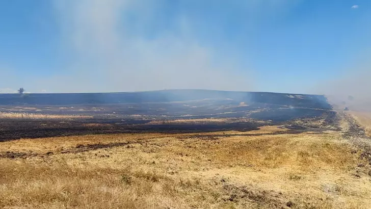 Bursa'da anız yangınları söndürüldü