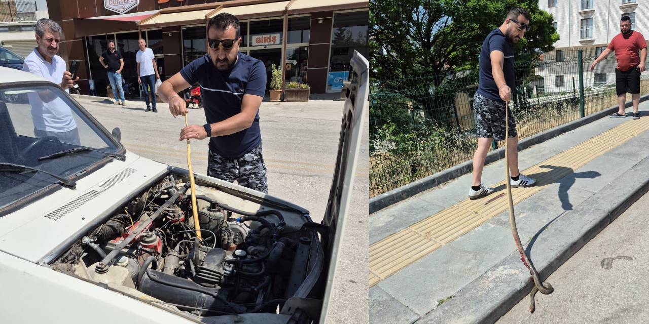 Otomobiline giren yılanı sopa yardımıyla çıkardı