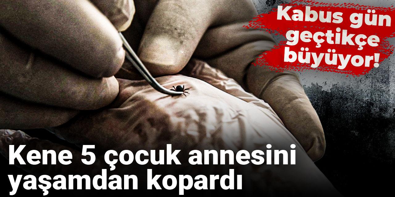 Kabus gün geçtikçe büyüyor! Kene 5 çocuk annesini yaşamdan kopardı