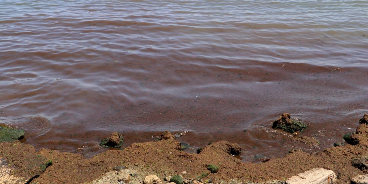 Tekirdağ'da korkutan manzara: Sahil kıpkırmızı oldu