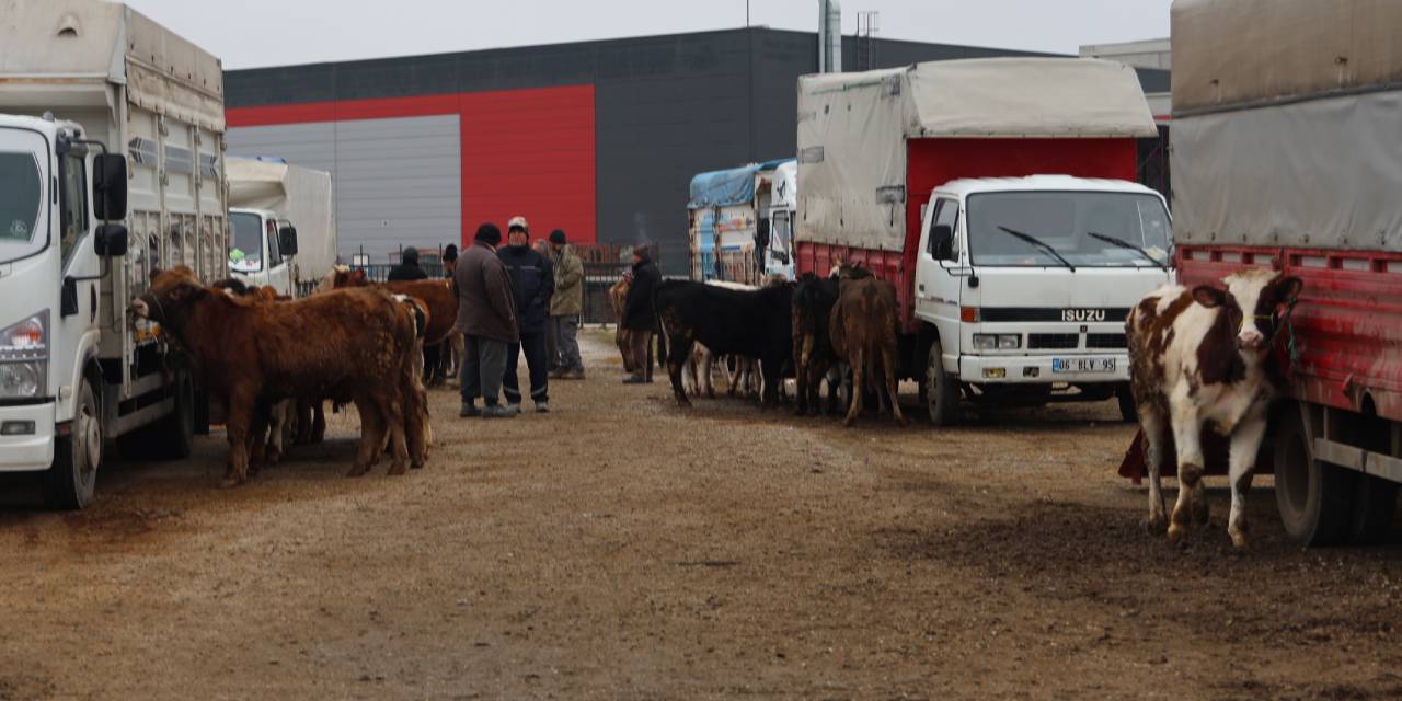 Hayvan pazarı kapatıldı: Para cezası verilecek