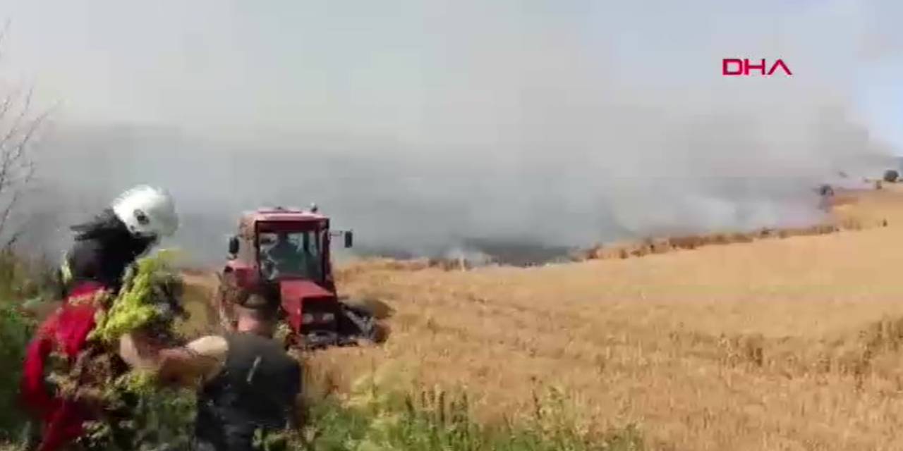 400 dönümlük buğday alev alev yandı!
