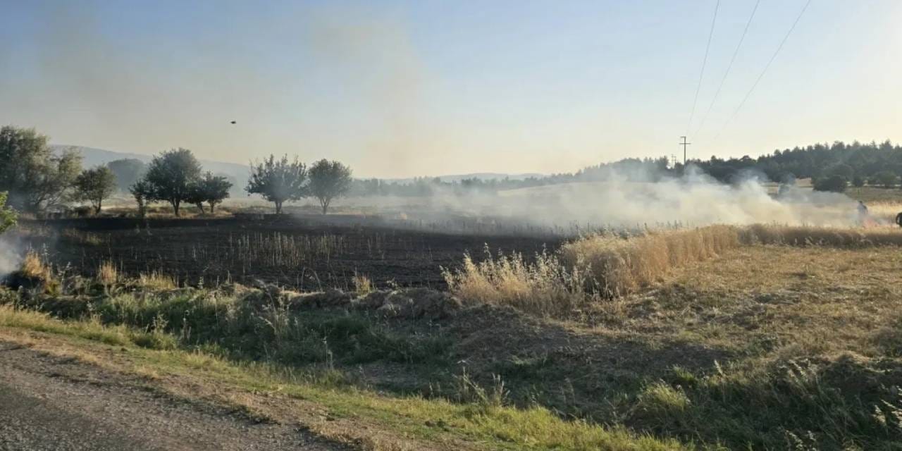 Tarlada çıkan yangında 5 dönümlük hasat yandı