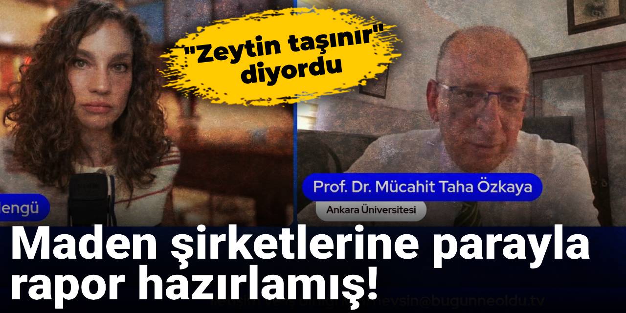 "Zeytin taşınır" diyen profesör maden şirketlerine parayla rapor hazırlamış!
