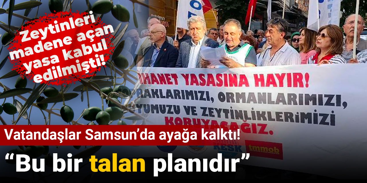 Zeytinleri madene açan yasa kabul edilmişti! Vatandaşlar Samsun’da ayağa kalktı: Bu bir talan planıdır