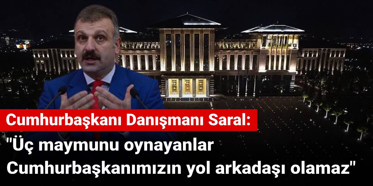Cumhurbaşkanı Danışmanı'ndan sert mesaj: Üç maymunu oynayanlar Cumhurbaşkanımızın yol arkadaşı olamaz