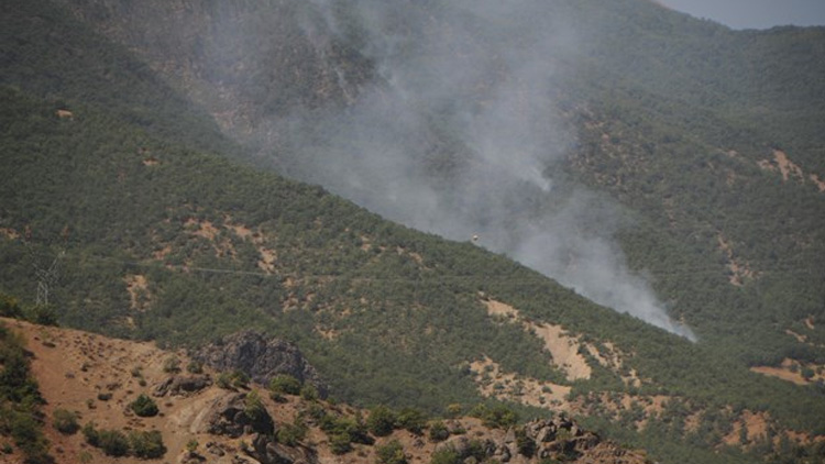 Tunceli'de 6 bölgede başlayan orman yangınları devam ediyor