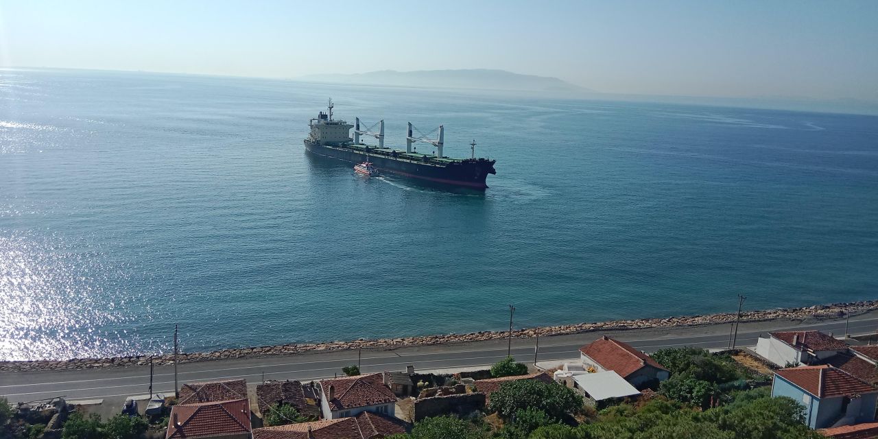 Kuru yük gemisi karaya oturdu