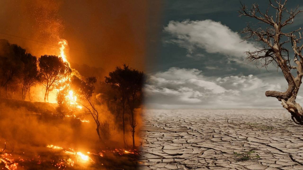 Kuraklık tehdidi büyüyor: Orman yangınlarında artış tehlikesi