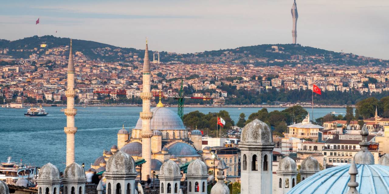 Üç ilçede her yerdeler! Uzmanlar İstanbul için uyardı: Sakın öldürmeyin