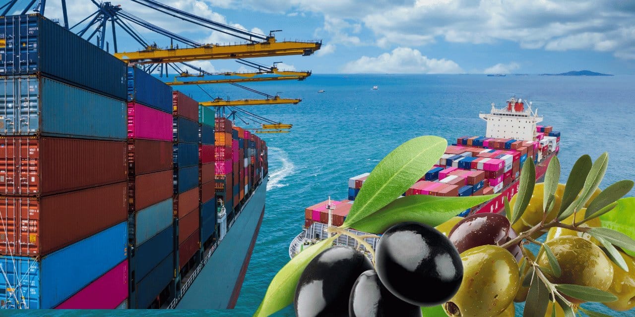 Yasa sadece zeytini değil, ekonomiyi de vuracak