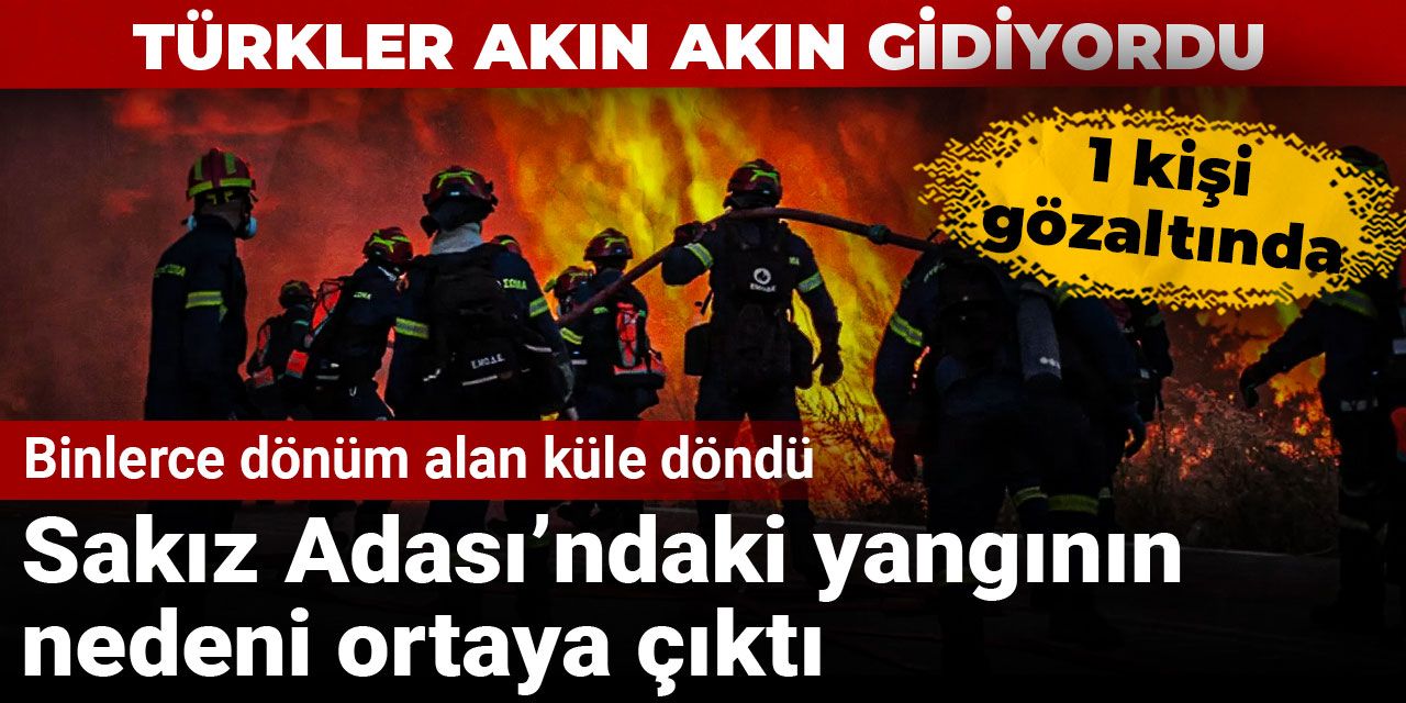 Binlerce dönüm alan küle döndü! Sakız Adası’ndaki yangının nedeni ortaya çıktı