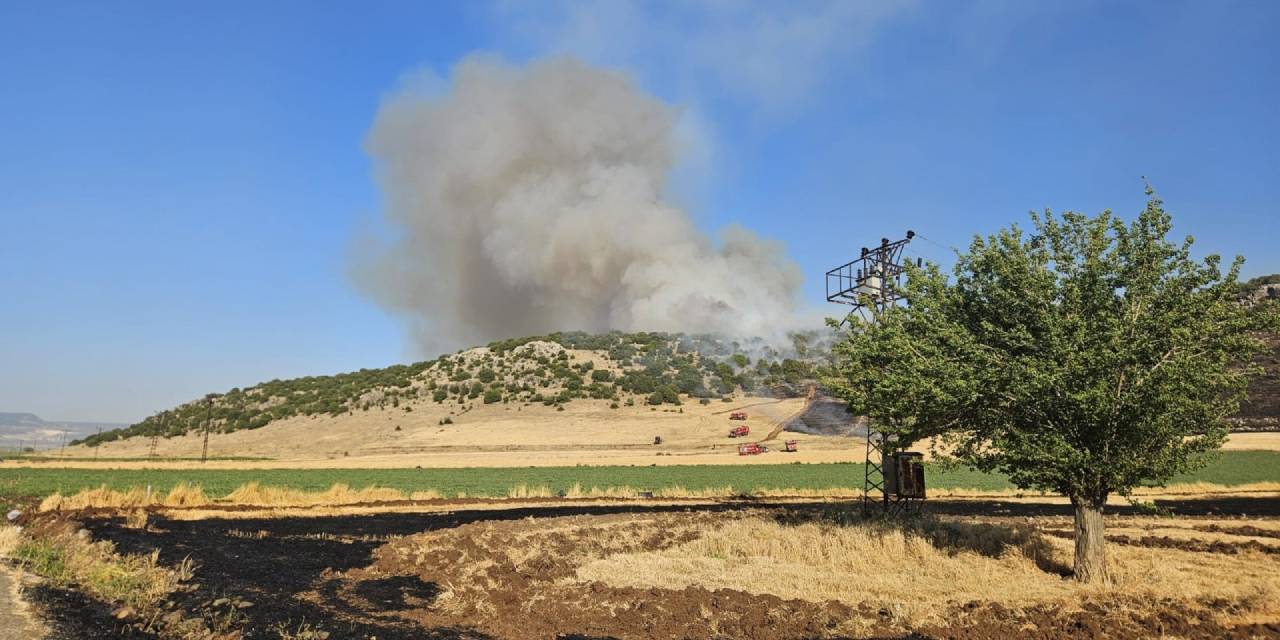 Çiftçi neye uğradığını şaşırdı: 47 bin lira ceza kesildi