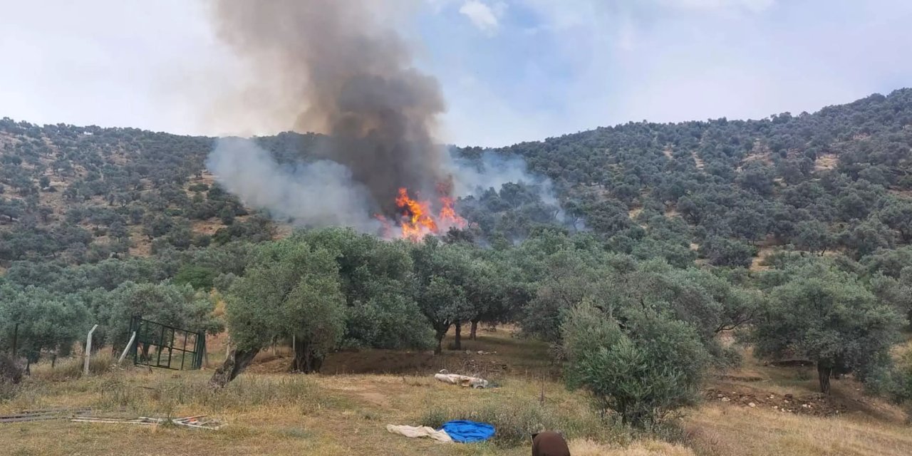 İzmir'de çıkan yangın söndürüldü