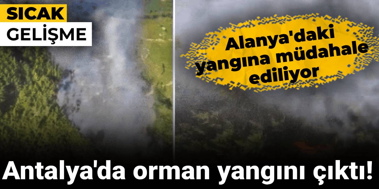 Antalya'da orman yangını çıktı! Alanya ve Aksu'daki yangına müdahale ediliyor