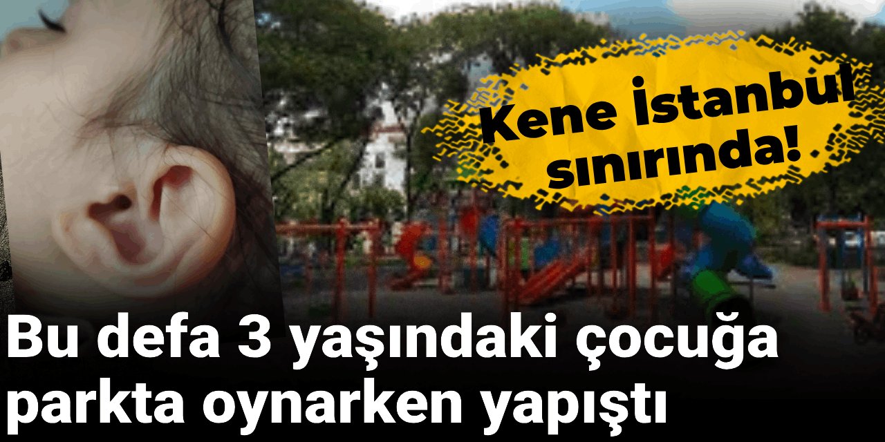 Kene İstanbul sınırında! Bu defa 3 yaşındaki çocuğa parkta oynarken yapıştı