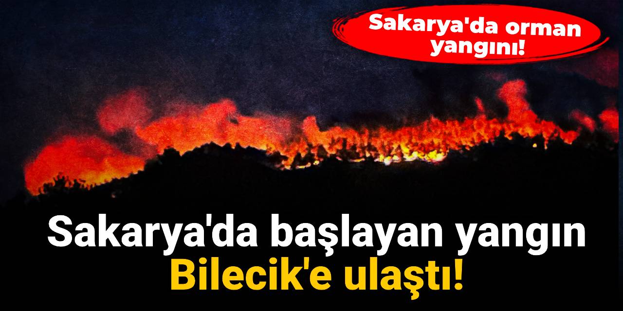 Sakarya'da başlayan yangın Bilecik'e ulaştı!