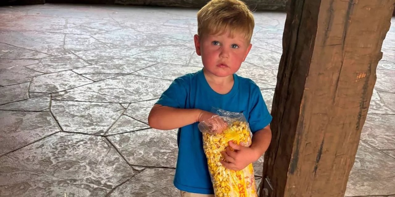 Arıların saldırdığı iki yaşındaki çocuk yaşam mücadelesi veriyor! Çoklu organ yetmezliği teşhisi konuldu