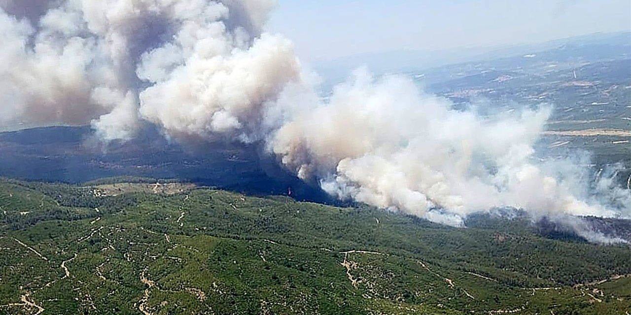 Manisa'da orman yangını! Havadan ve karadan müdahale ediliyor