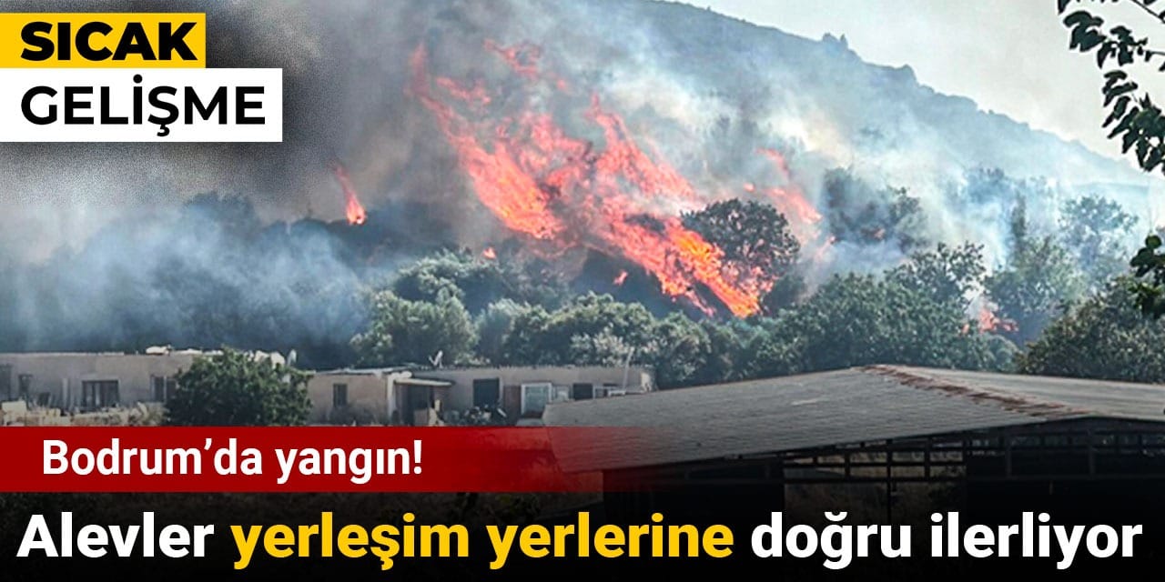 Bodrum’da yangın! Alevler yerleşim yerlerine doğru ilerliyor