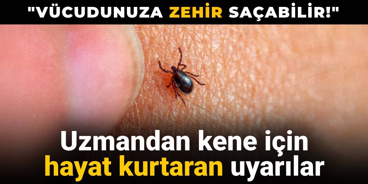 Uzmandan kene için hayat kurtaran uyarılar: Vücudunuza zehir saçabilir