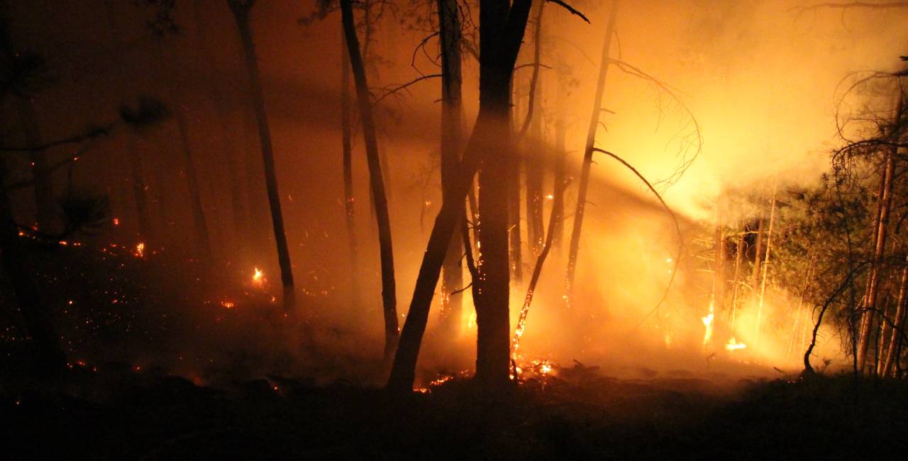Bolu'da alevlerle 7 saatlik mücadele