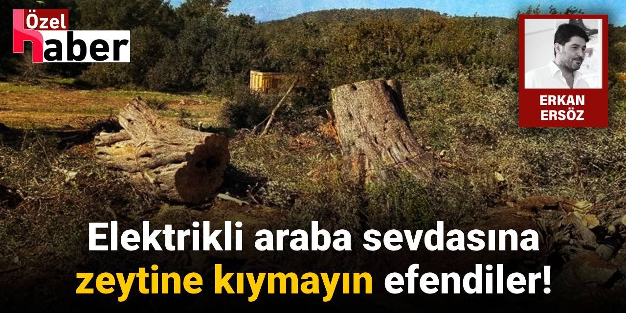 Elektrikli araba sevdasına zeytine kıymayın efendiler!