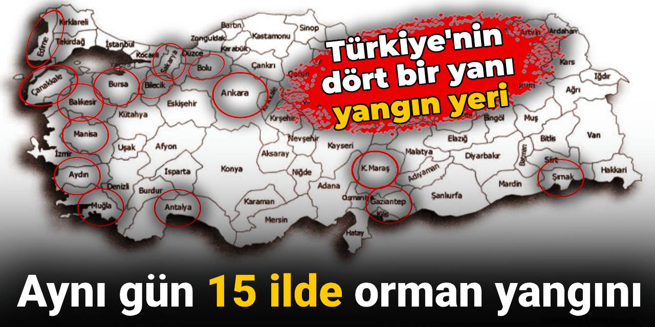 Aynı gün 15 ilde orman yangını: Türkiye'nin dört bir yanı yangın yeri