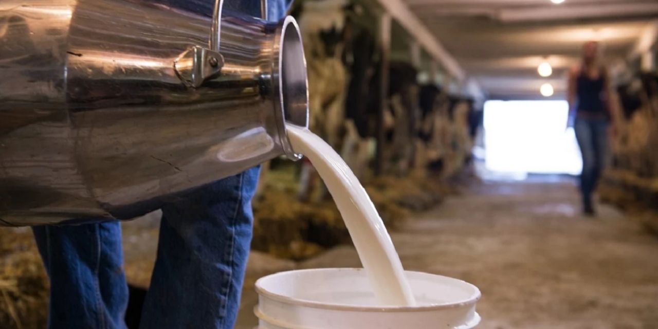 Dev şirketler ödemiyor, çiftçi tüccara mahkûm