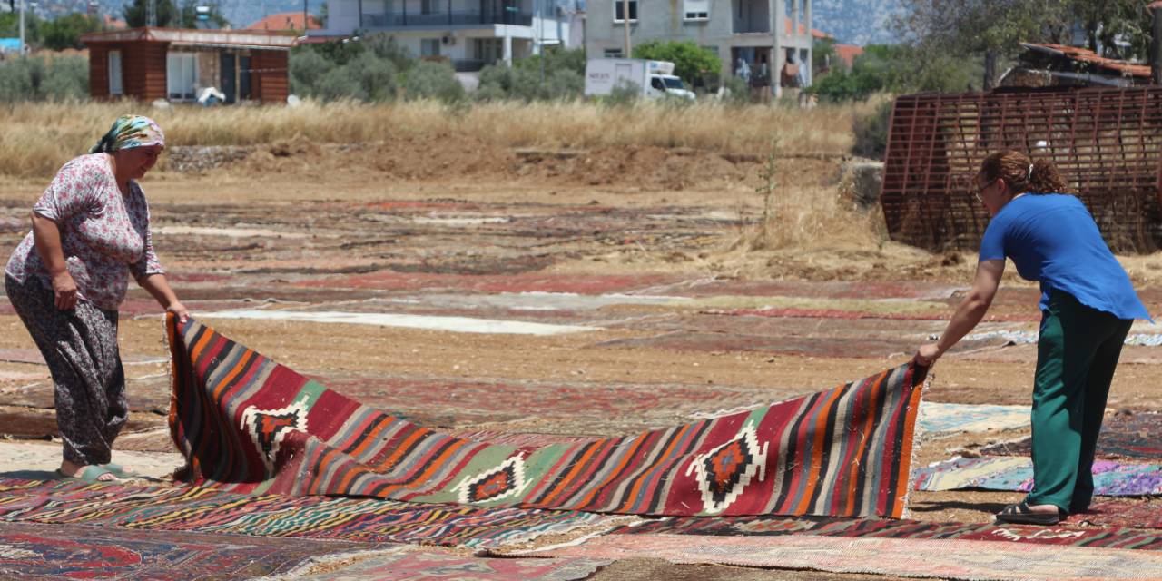 Antalya'dan ABD'ye yollanıyor: Fiyatı 8 bin dolara kadar çıkıyor