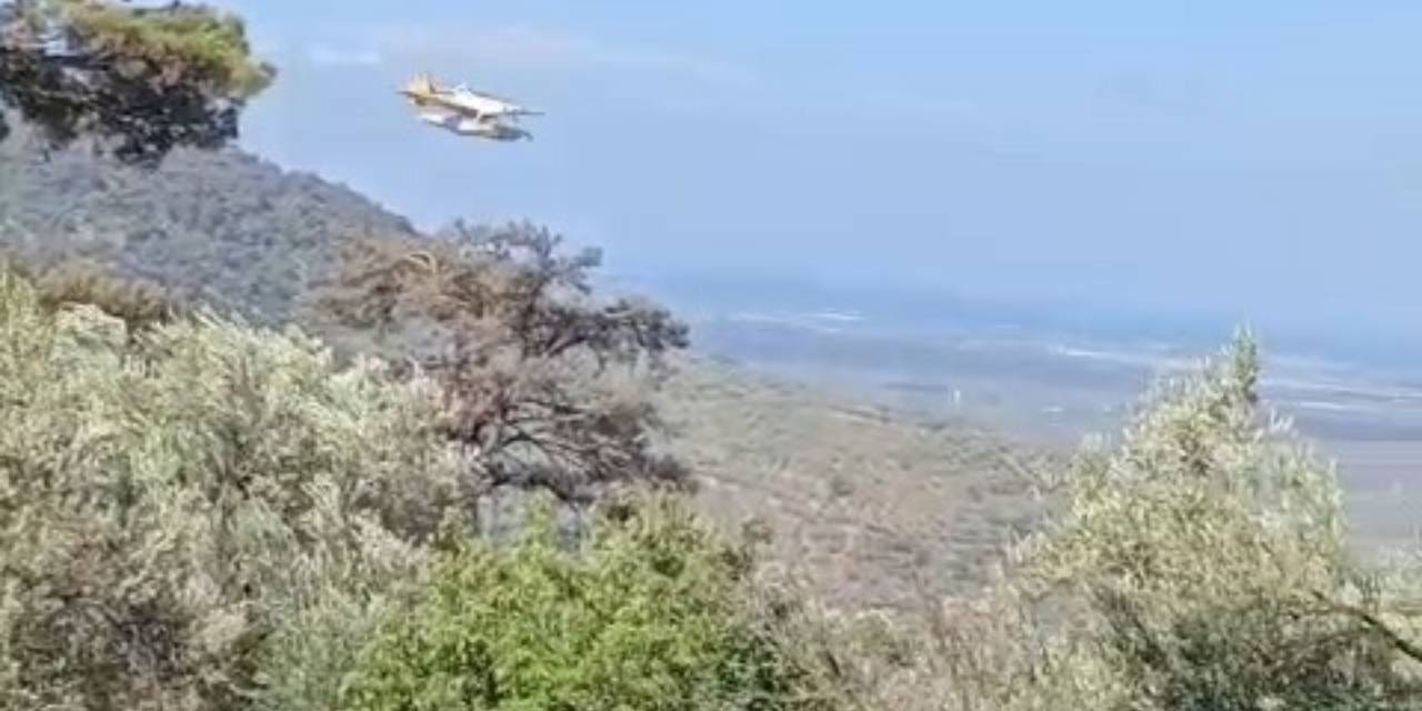 4 kişi gözaltına alınmıştı: Balıkesir'deki yangın söndürüldü