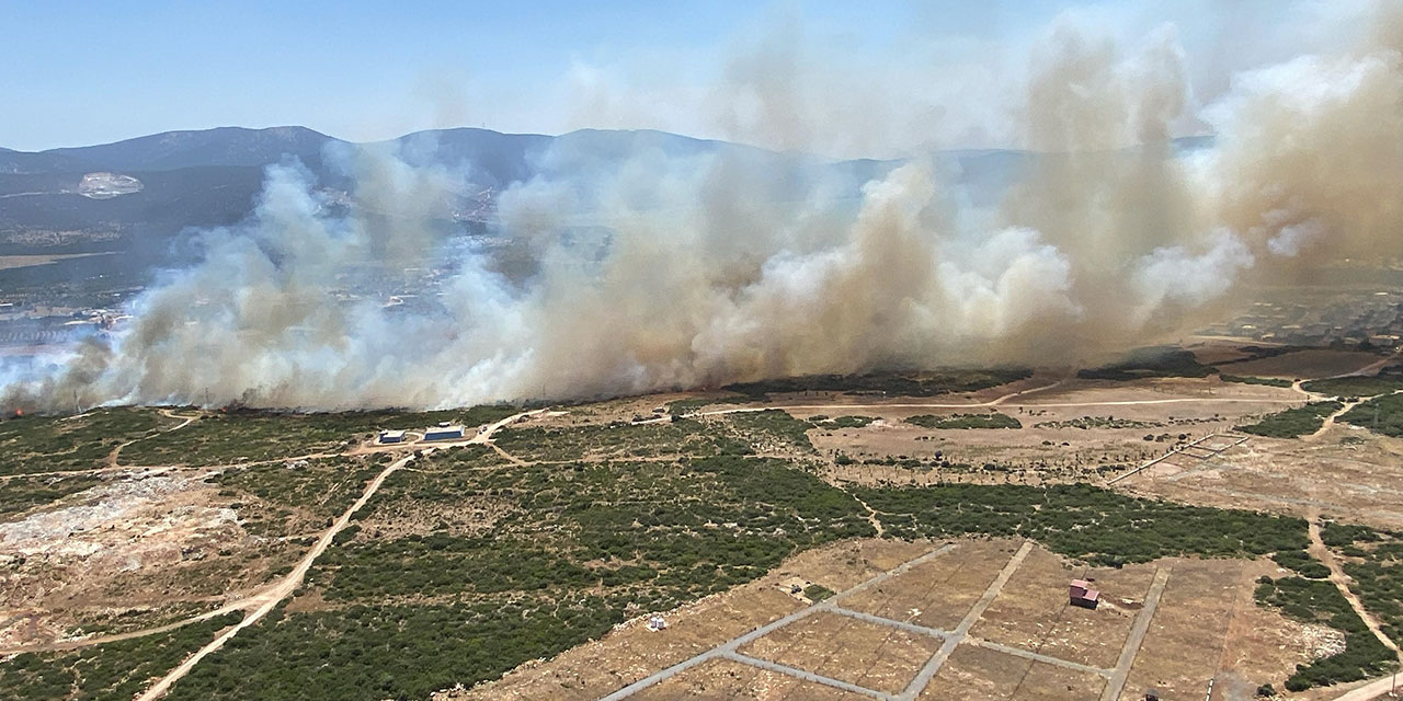 Aydın'da bir hafta sonra yine yangın