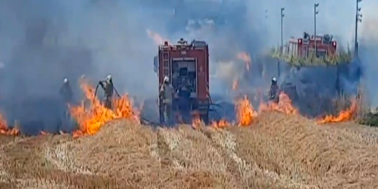 Silivri'de yangın çiftliğe sıçradı