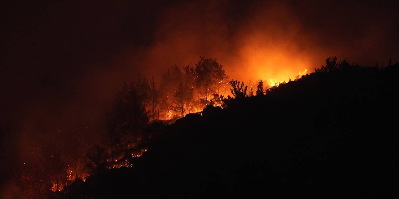 Gaziemir Belediye Başkanı: Havalimanında uçuşlar tekrar başladı