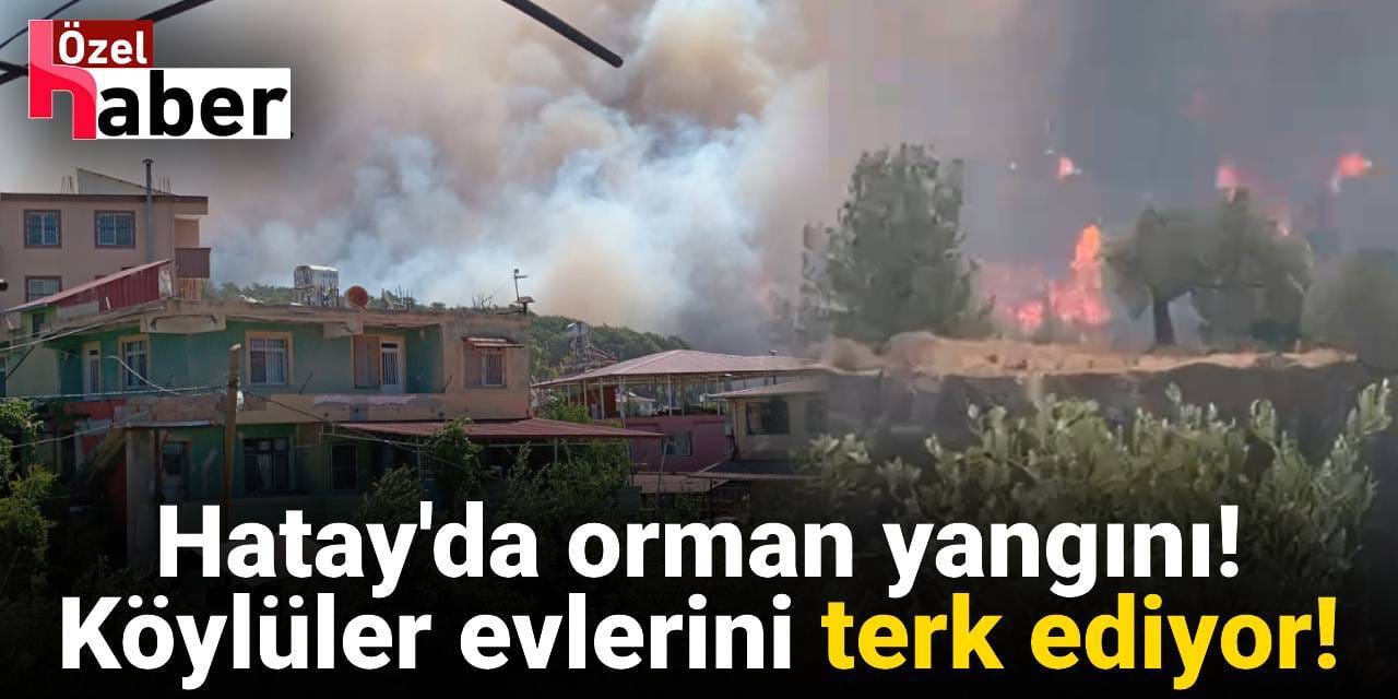 Hatay'da da ormanlar yangına teslim oldu! Köyler tehdit altında